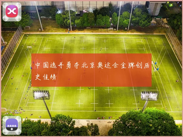 中国选手勇夺北京奥运会金牌创历史佳绩