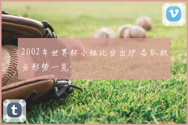 2002年世界杯小组比分出炉 各队积分形势一览